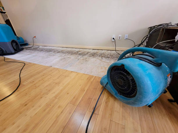 Professional Water Damage Repair technician working in Cheyenne, WY